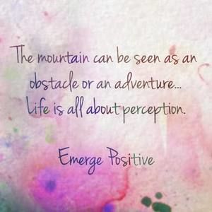 Meet your Posher, Bonnie lee